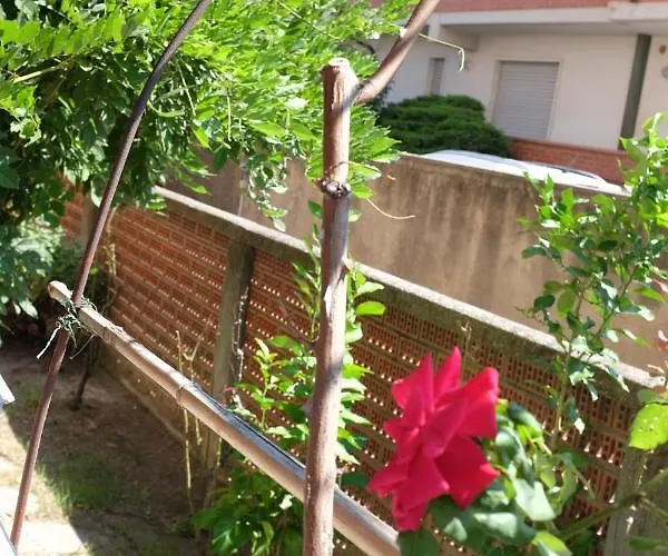 דירה Casa Marina Giardino Delle Rose *